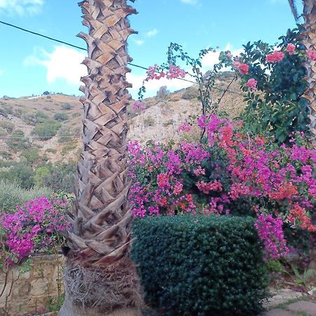 Heraklion Comfy House With Mountain View מראה חיצוני תמונה