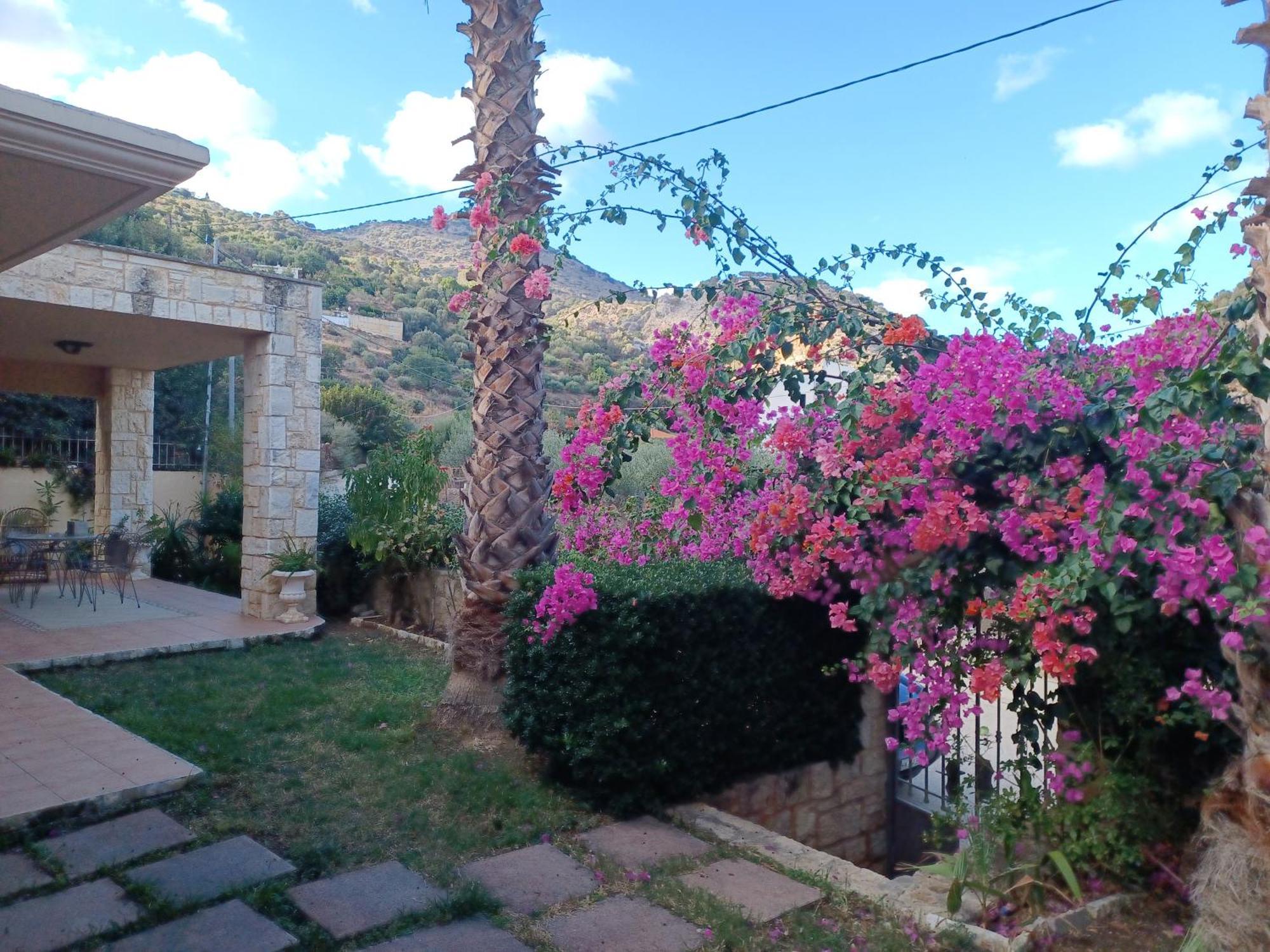 Heraklion Comfy House With Mountain View מראה חיצוני תמונה